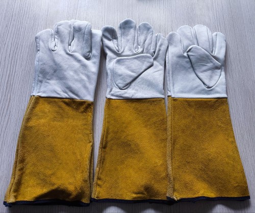 gloves