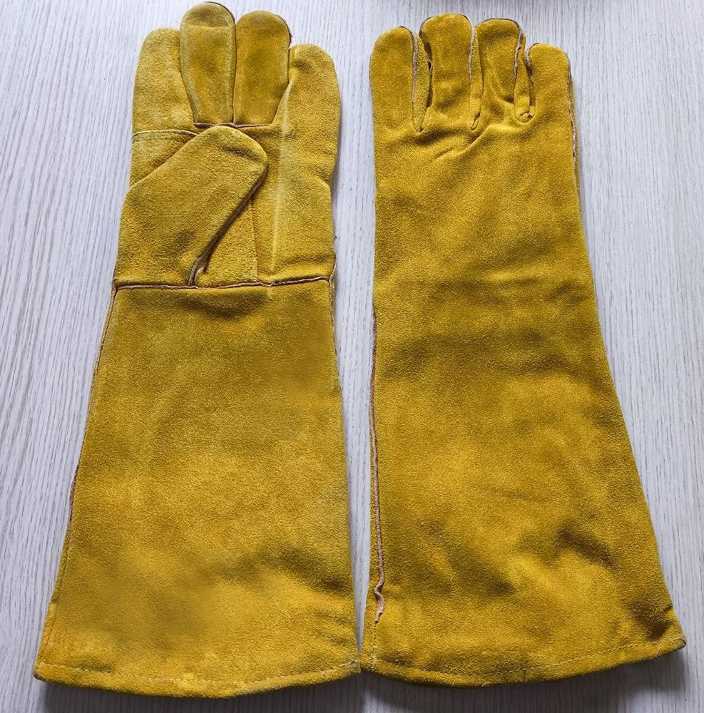 gloves