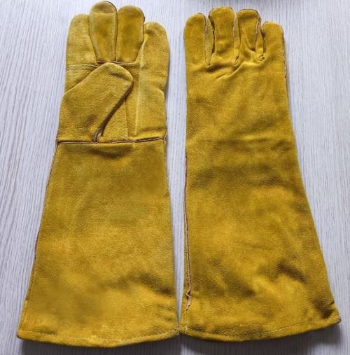 gloves